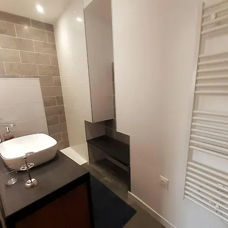 Classe 4 Etoiles - Cybele - Centre Ville 2 Chambres, Cour Privative Et Garage Vienne  Exterior photo