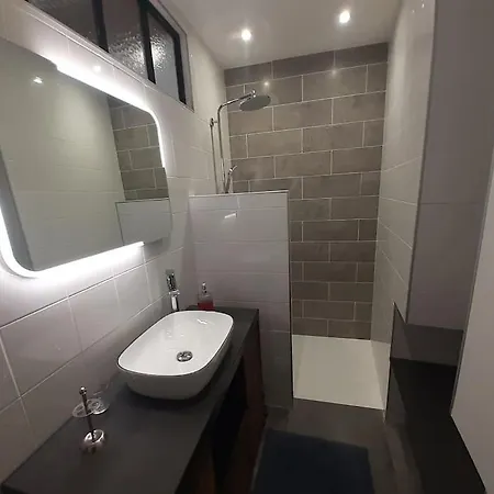 Classe 4 Etoiles - Cybele - Centre Ville 2 Chambres, Cour Privative Et Garage Vienne  Exterior photo