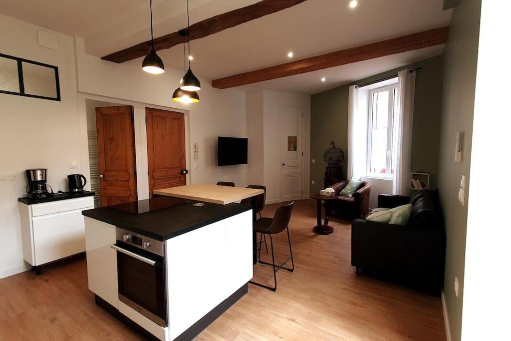 Classe 4 Etoiles - Cybele - Centre 2 Chambres, Cour Privative Et Garage *