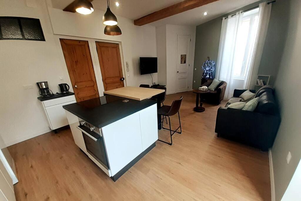 Classe 4 Etoiles - Cybele - Centre 2 Chambres, Cour Privative Et Garage * Vienne (Isere)
