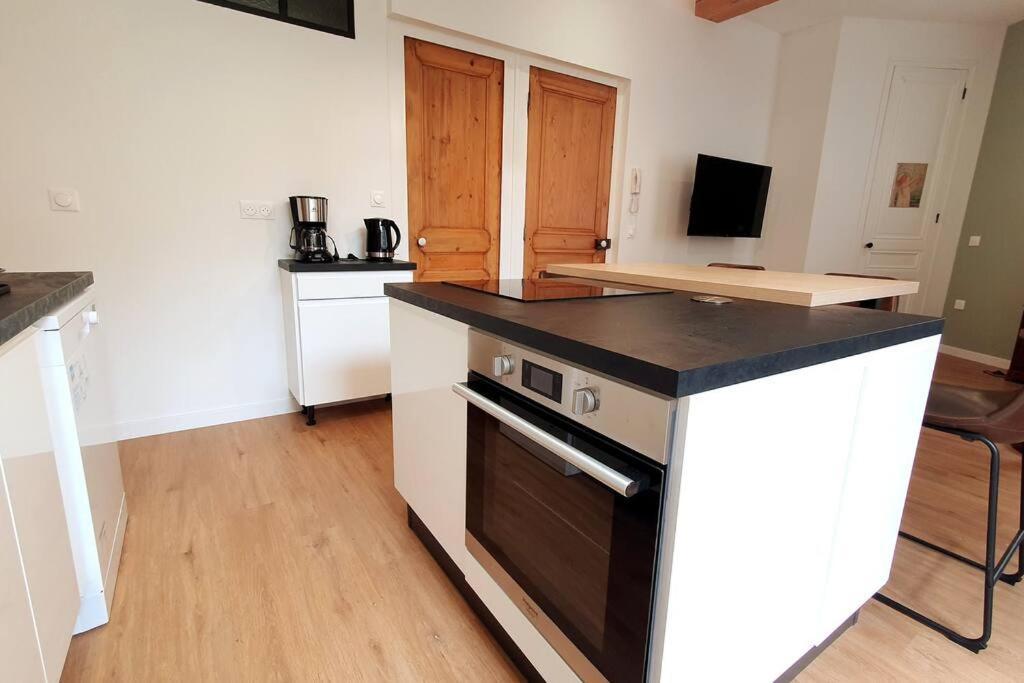Classe 4 Etoiles - Cybele - Centre 2 Chambres, Cour Privative Et Garage * Vienne (Isere)